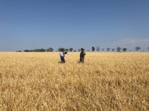 L’assurance des récoltes <br>  pour les grandes cultures 